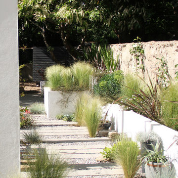 Contemporary Brighton garden with a Californian vibe