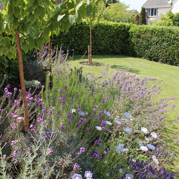 Contemporary Country Front Garden