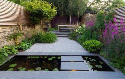 Soak Up Ideas From the Year’s Most Popular Urban Gardens