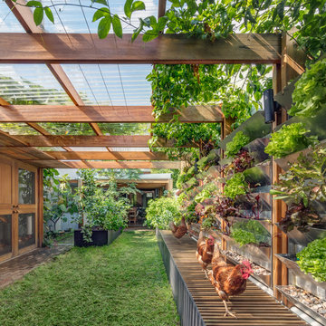 Contemporary Garden