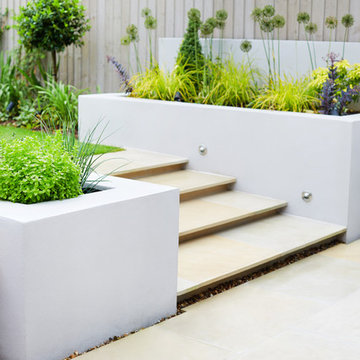 Contemporary Garden