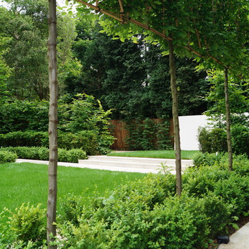 Contemporary Garden Leicester