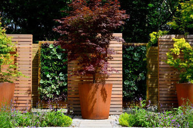 Photo of a contemporary garden in West Midlands.