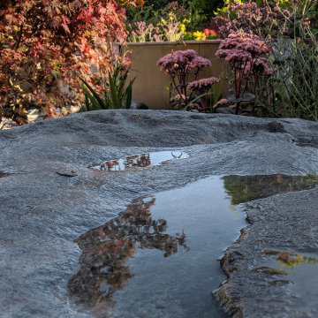 Contemporary Pond Garden - Garden boulder.