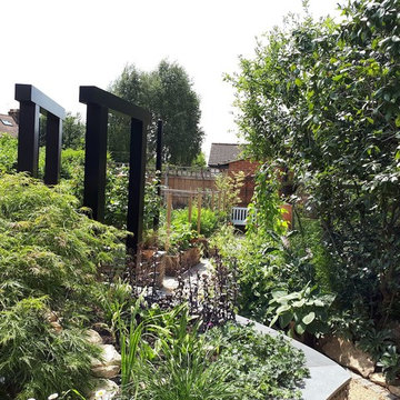 Contemporary rear garden in St Albans, Hertfordshire