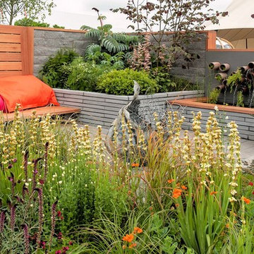 Contemporary Terrace Garden