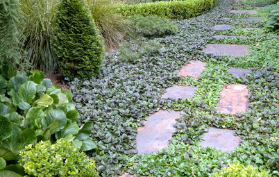 Ground Force: 10 Top Ground Covers for Your Garden