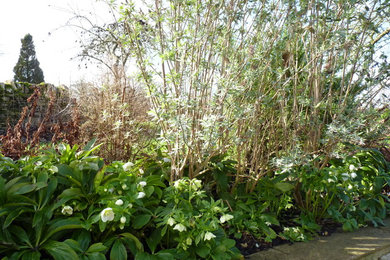 Cotswold country garden- winter plantings