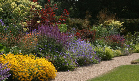 8 Gorgeous Planting Combinations for Fall Gardens
