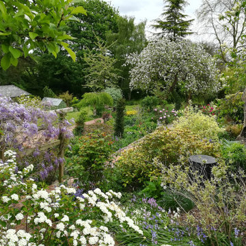 Country garden in Shropshire A