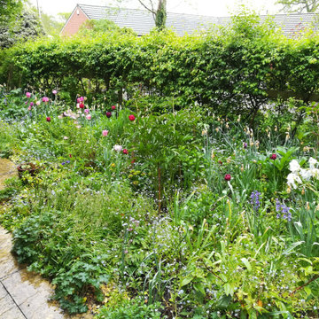 Country Garden in Shropshire C