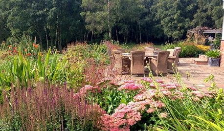 6 Gorgeous Fall Gardens Featuring Pastel Colors