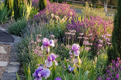 Idée de décoration pour un jardin à la française avant champêtre au printemps avec un massif de fleurs, une exposition ensoleillée et du gravier.