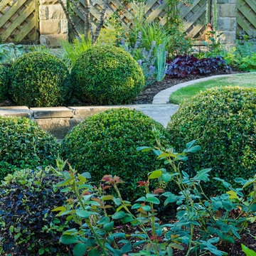 Curvy Topiary Complete Planting Design - Yorkshire, England