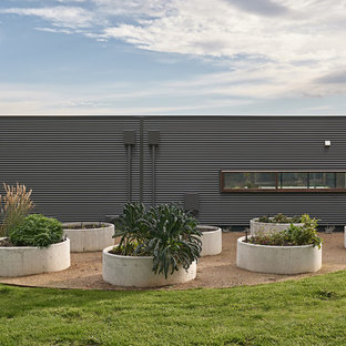 Photo of a large contemporary full sun garden in Melbourne.