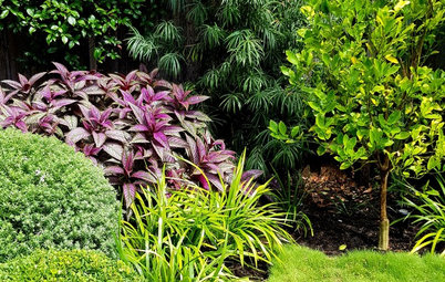 Picture Perfect: 30 Fabulous Front Gardens