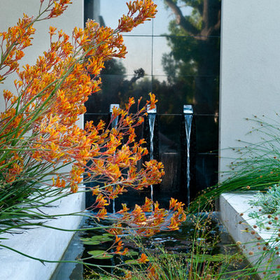 Photo of a mid-sized contemporary front yard water fountain landscape in Perth.