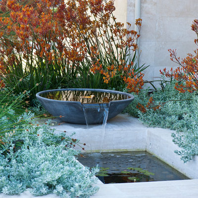 This is an example of a mid-sized contemporary front yard water fountain landscape in Perth.