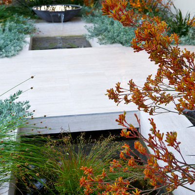 This is an example of a mid-sized contemporary front yard water fountain landscape in Perth.