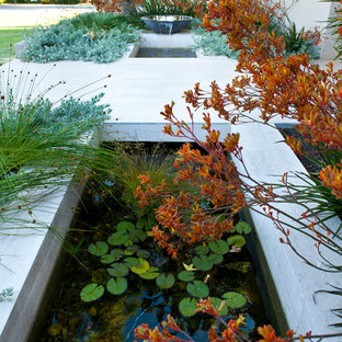 Small Water Garden Designs | Houzz