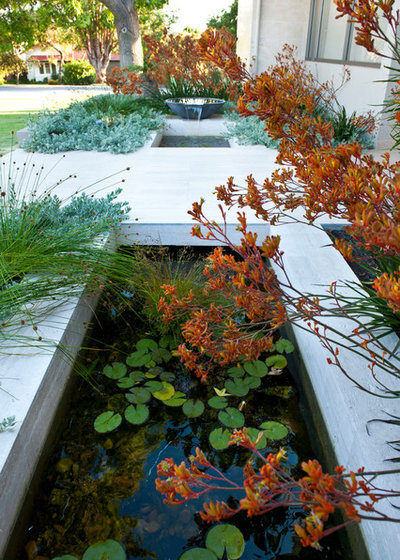 Contemporary Garden by Cultivart Landscape Design