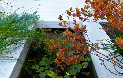 9 Reasons You Need a Fish Pond in Your Garden