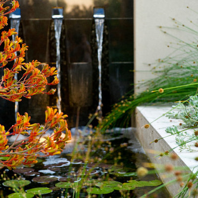 Inspiration for a mid-sized contemporary front yard water fountain landscape in Perth.