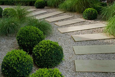 Photo of a contemporary backyard landscaping in Surrey.