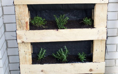 DIY Project: Vertical Pallet Garden