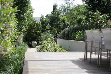 Idée de décoration pour un jardin arrière minimaliste de taille moyenne avec des solutions pour vis-à-vis, une exposition ensoleillée et une terrasse en bois.