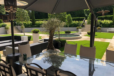 Diseño de jardín minimalista de tamaño medio en patio trasero con jardín francés, estanque y exposición total al sol