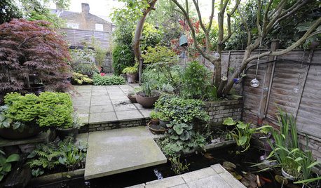 My Houzz: Eclectic East London Victorian