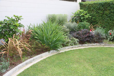 Modelo de jardín actual de tamaño medio en patio trasero con exposición total al sol