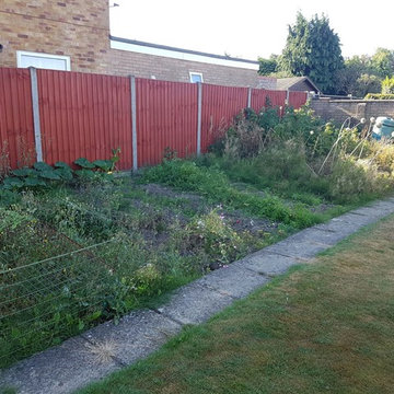 Easy veg garden before