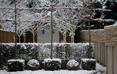 These Peaceful Gardens Show the Beauty in Winter Bareness