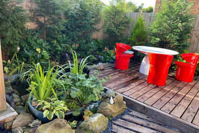 マンチェスターにある低価格の春のトロピカルスタイルのおしゃれな庭 (池、半日向、デッキ材舗装、ウッドフェンス) の写真