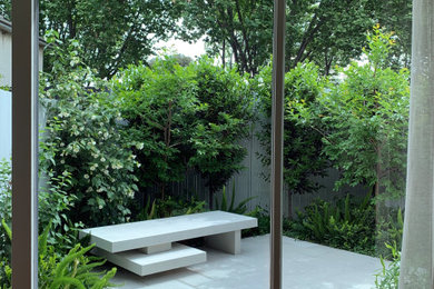Modelo de jardín contemporáneo en primavera en patio trasero con privacidad y exposición total al sol