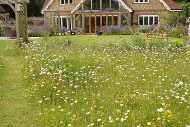 Klassischer Garten im Sommer, hinter dem Haus mit direkter Sonneneinstrahlung in Hampshire