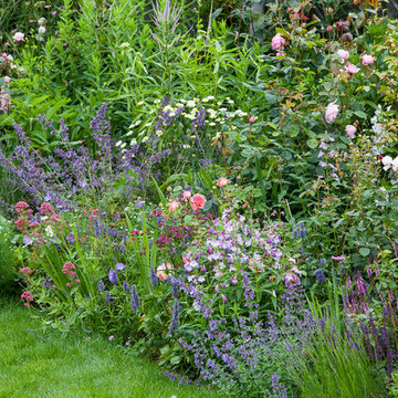 Family Friendly Country Garden in Hampshire