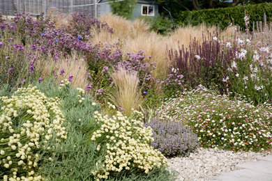 This is an example of a coastal garden in Wiltshire.