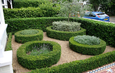 How to Look After Your Hedges – 8 Pruning and Maintenance Tips