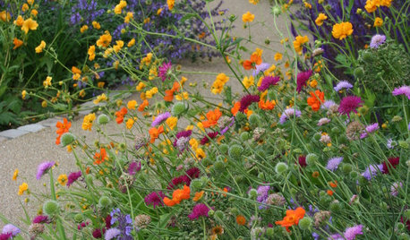 3 Color Palettes to Help Set Your Garden’s Mood