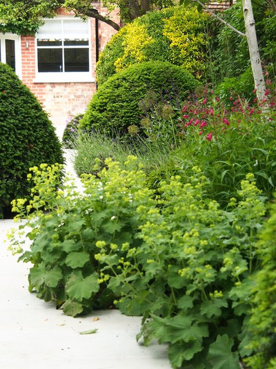 Landscape by London Garden Designer