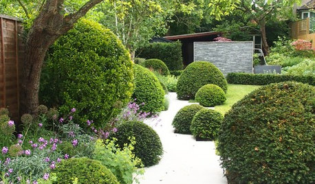 9 Garden Ideas for People Who Don't Like Gardening
