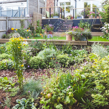 Finchley terraced garden