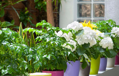Try This Shortcut to Extra Garden Colour