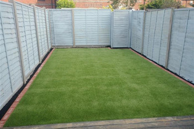 Design ideas for a small contemporary back full sun garden for spring in Other with lawn edging.