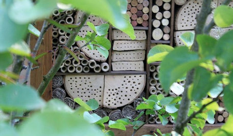12 Ways to Create a Wildlife Haven in a Small Garden