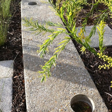 Fremantle Coastal Garden
