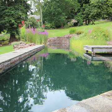 Freshwater hill top natural swimming pool in Bristol